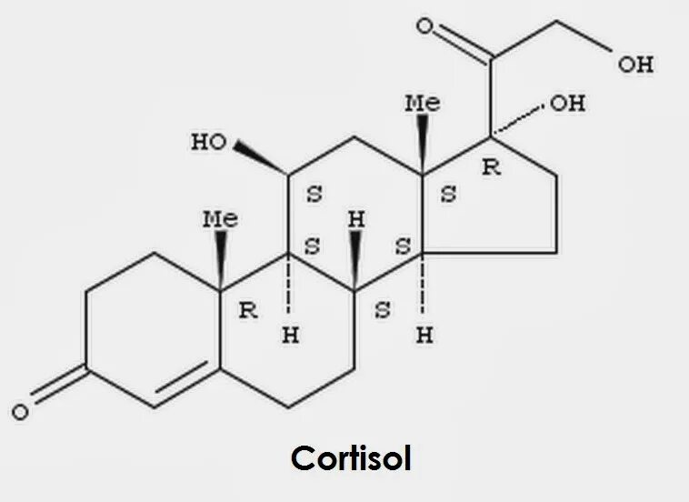 Кортизол гормон чего