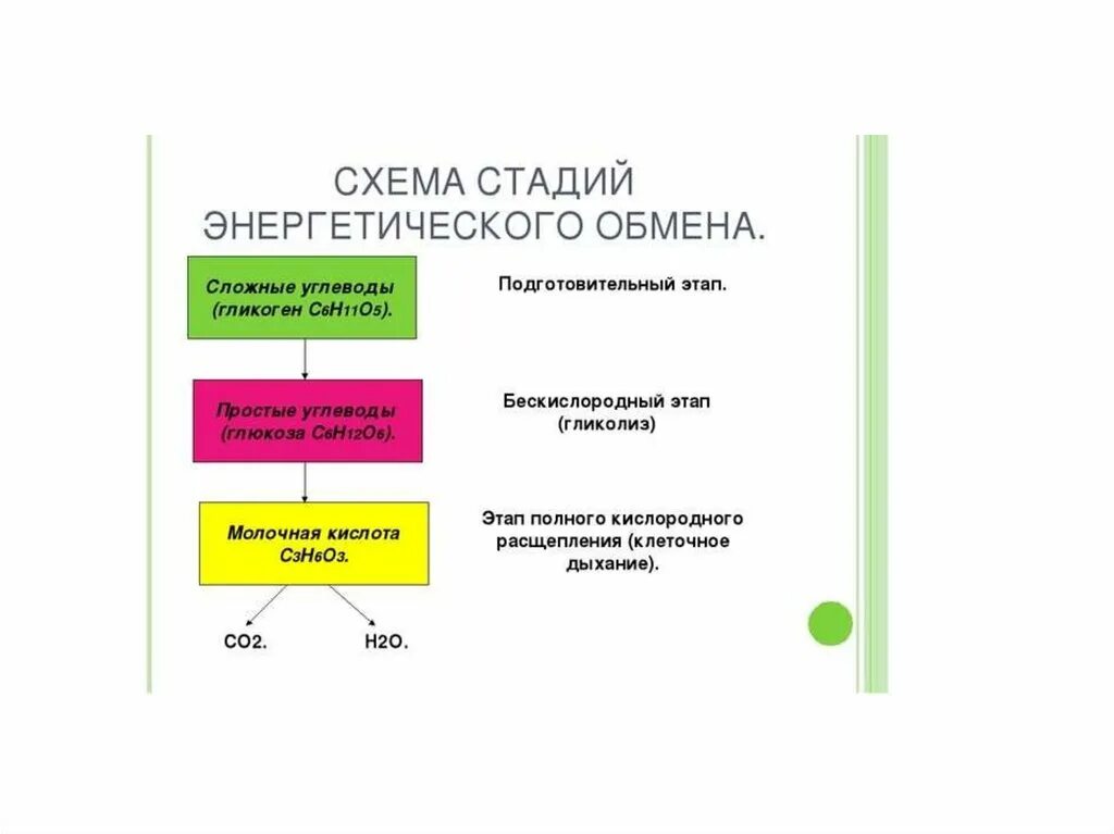 Схема этапов энергетического обмена. Три этапа энергетического обмена схема. 3 Этап энергетического обмена схема. Схема процессов энергетического обмена подготовительный этап. Схема второго этапа энергетического обмена.