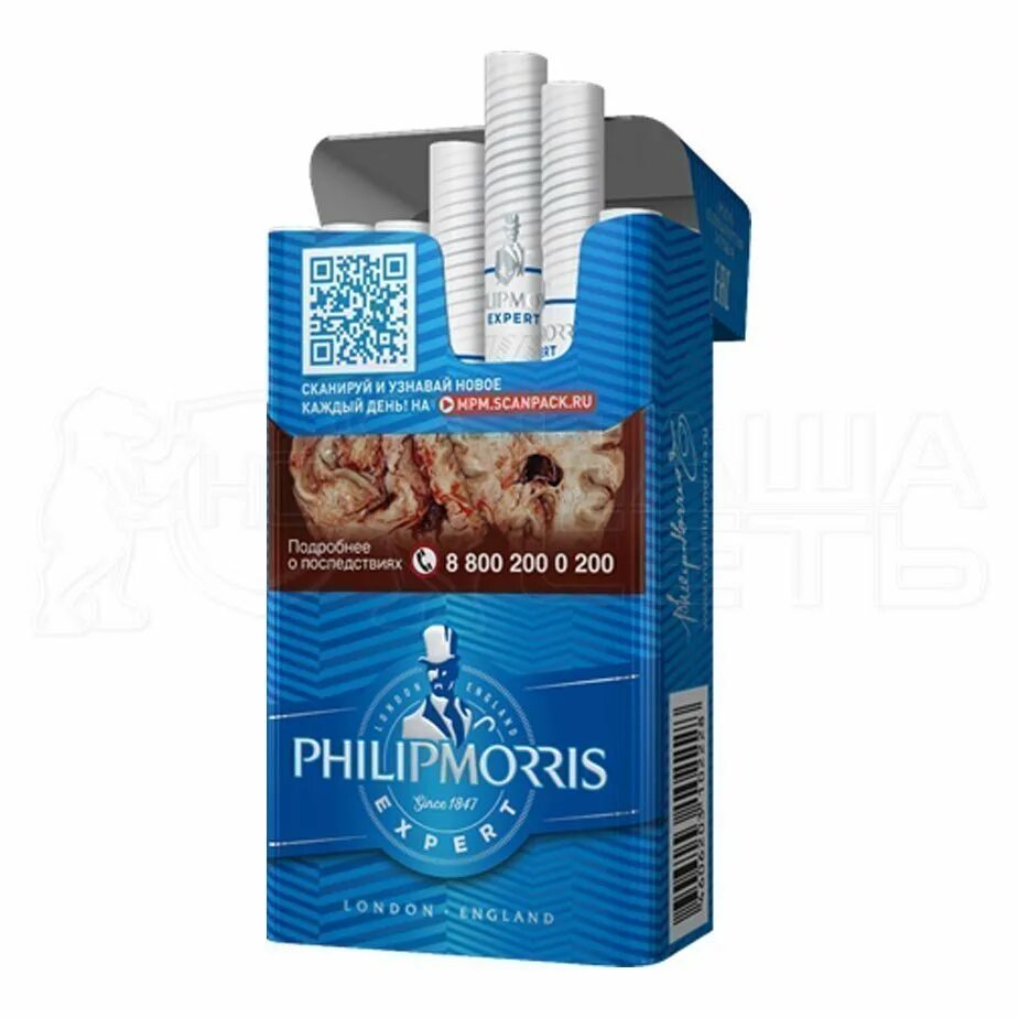 Сигареты Philip Morris Signature Expert. Сигареты с фильтром "Philip Morris Compact Signature" (Expert). Филлип Морис сигареты компакт экспери. Сигареты Philip Morris Compact Expert. Филип компакт сигареты