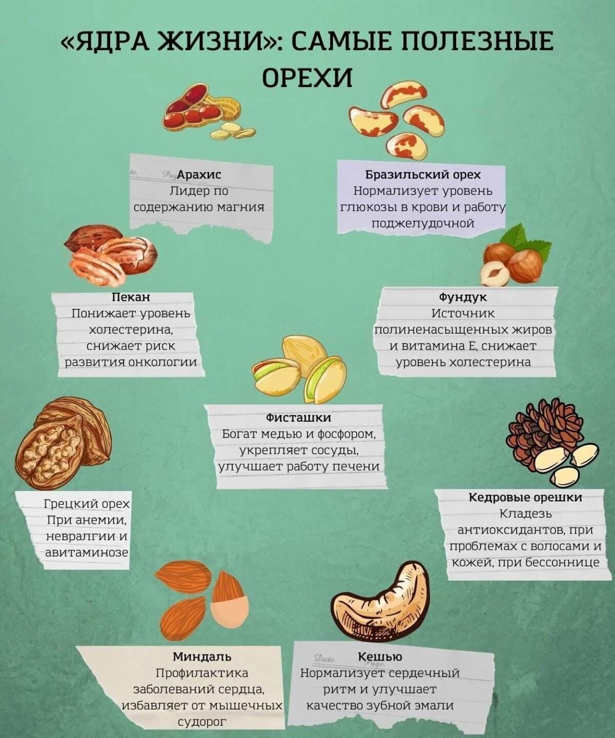 Самые полезные орехи для сосудов. Полезные орехи для сердца и сосудов. Какие орехи полезны для сердца. Какие орехи самые полезные для сердца и сосудов. Самые полезные орехи для сердца.
