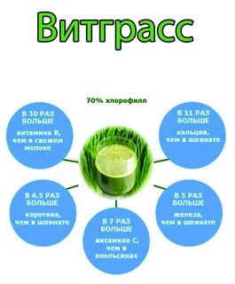Хлорофилл польза человеку отзывы