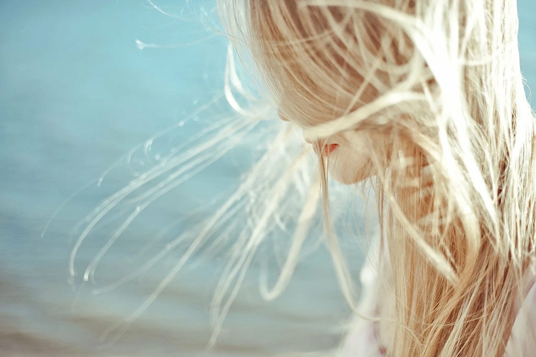 Светлые чувства какие. Блондинка со спины. Девушка с развевающимися волосами. Красивые девушки со светлыми волосами. Волосы на ветру.
