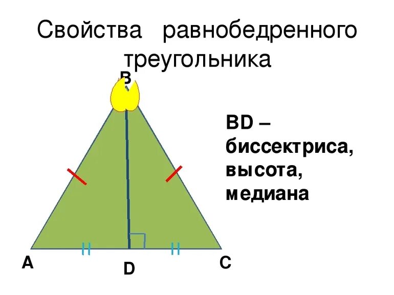 Равнобедренный треугольник где высота. Вершина равнобедренного треугольника. Св-ва биссектрисы равнобедренного треугольника. Биссектриса в равнобедренном треугольнике. Свойство биссектрисы равнобедренного треугольника.