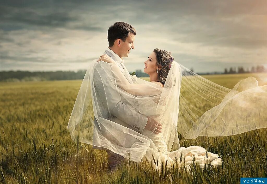 спела на свадьбе для мужа. первый танец молодоженов. красивые жених и невеста. кто поет свадебные цветы. невеста поёт жениху на свадьбе.