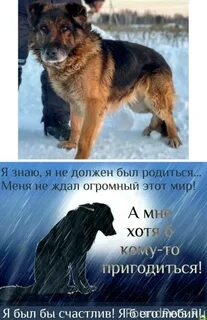 И сегодня не смотря на