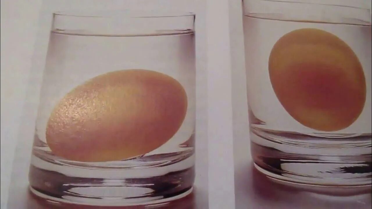 Свежее ли яйцо. Определить свежесть яиц. Опыт с яйцом на свежесть. Свежее яйцо в воде. Вода в яйцах заболевание.