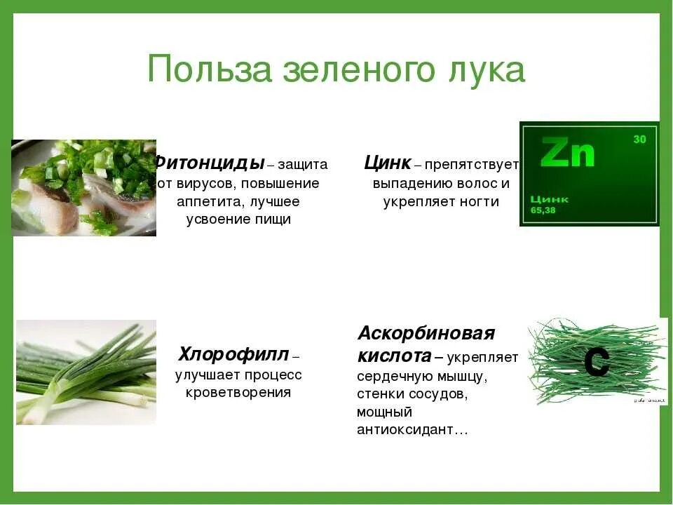 Полезен ли зеленый лук. Чем пооещен зелёный лук. Чем полезен зелёный лук для организма. Зелёный лук польза.