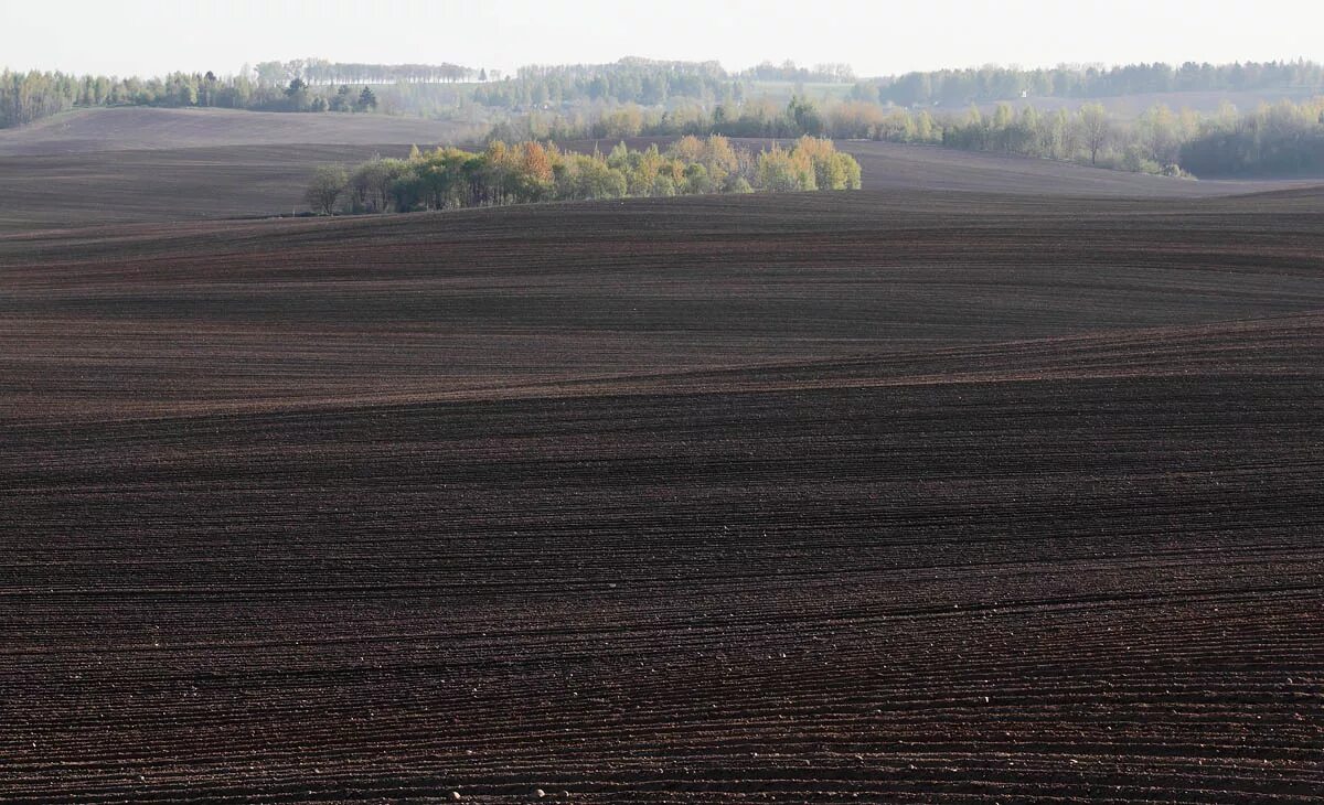 Чернозем в степи России. Курск поля вспаханные. Свежеспаханное поле чернозём. Пашня чернозем.