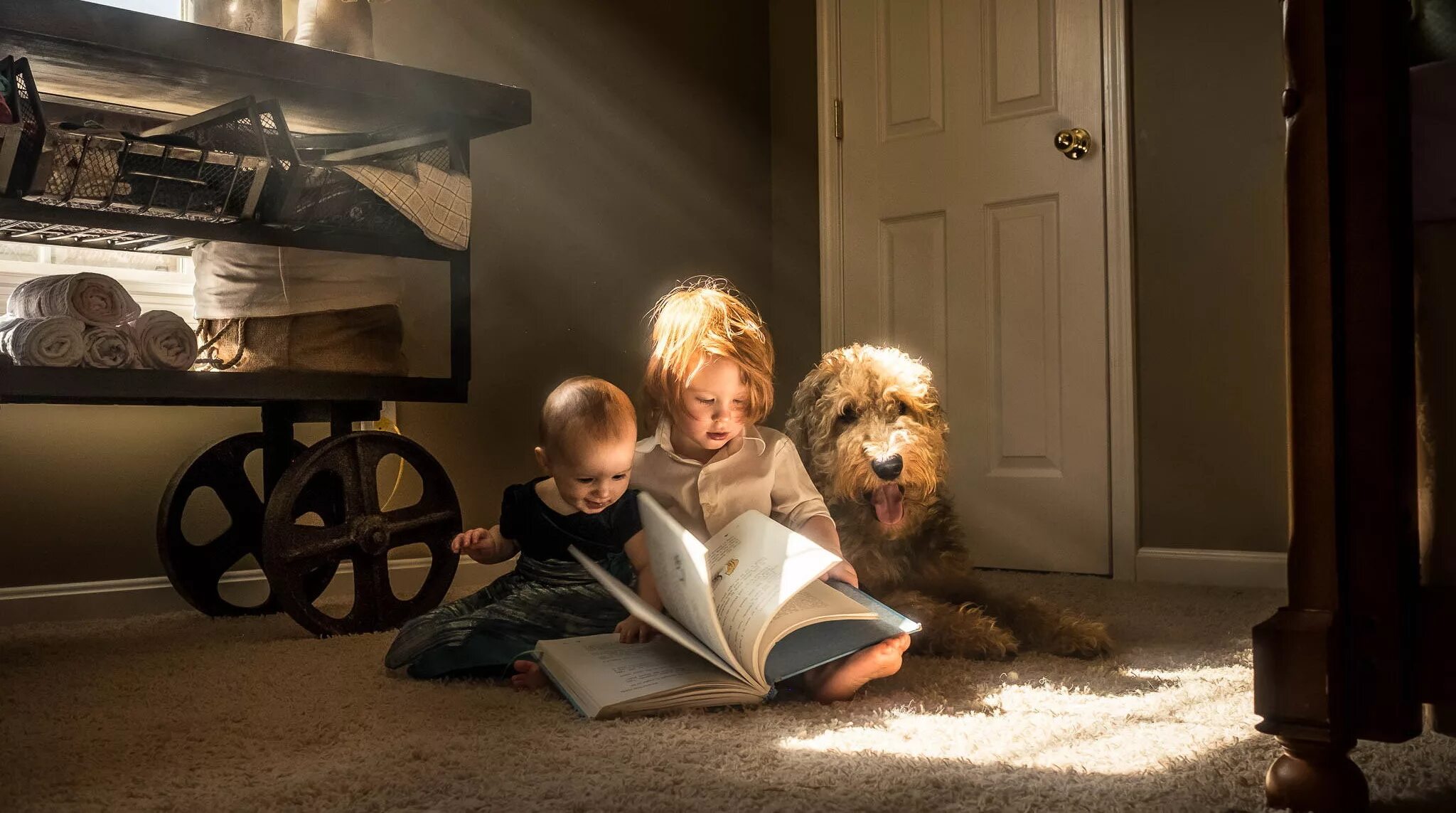 Эдриан Мюррей фотограф. Adrian c Murray фотограф. Эдриан Соммелинг. Дети читают собаке