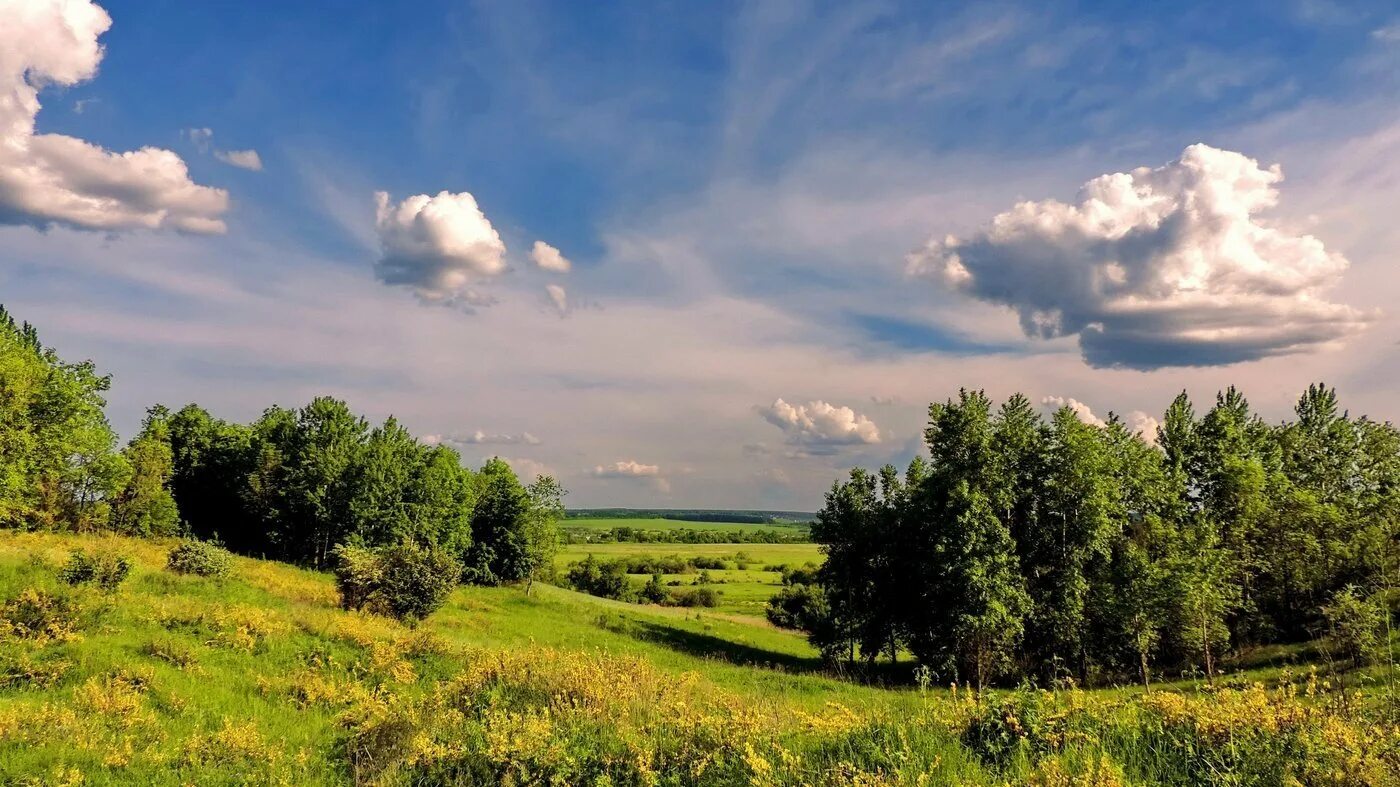 Родные просторы Пушгоры панорама. Природа Сурского края Пензенской области. Просторы Пензенской области. Просторы Чувашии.