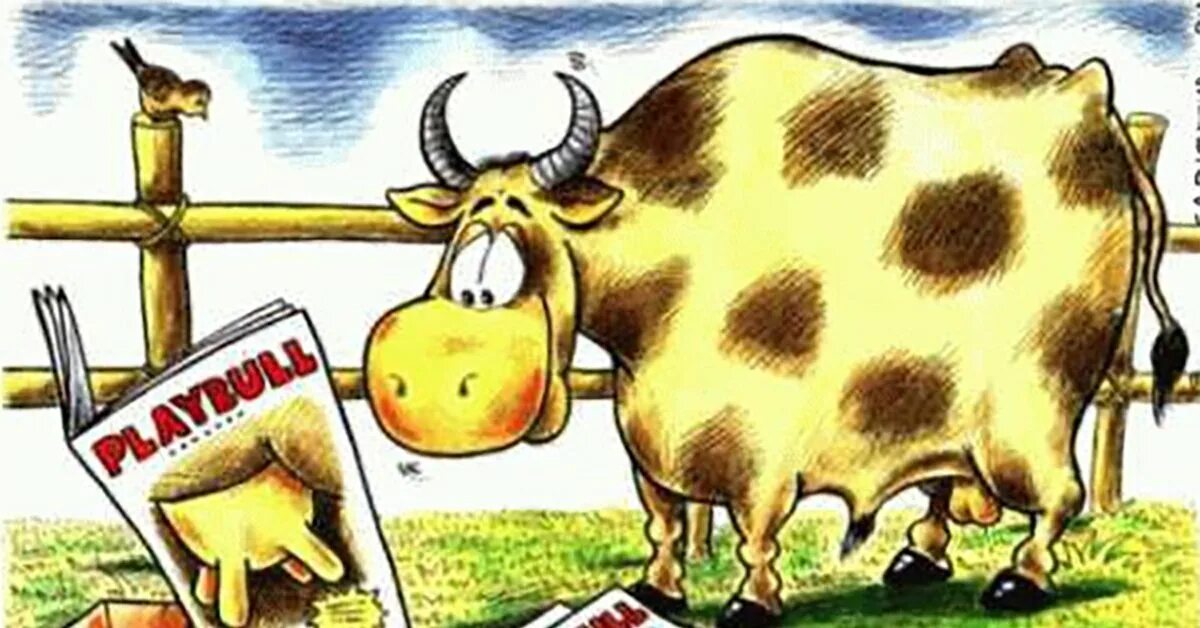 Прикол про корову. Корова карикатура. корова прикол. карикатуры про сельское хозяйство. карикатура бык производитель.