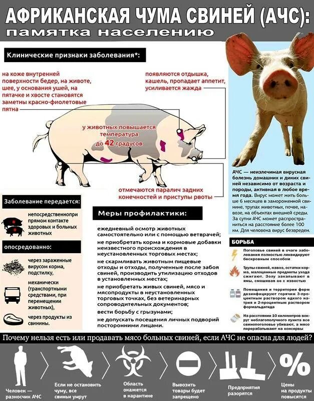 Опасные болезни животных