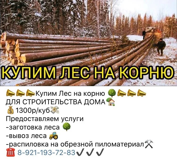 Подслушано хвойная в контакте. Подслушано Хвойная. Объявления Хвойная. Объявления Хвойная в контакте.