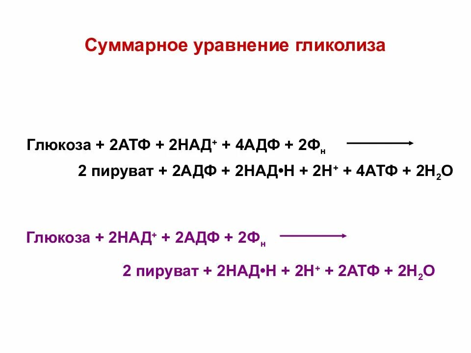 Атф глюкоза адф. Суммарное уравнение аэробного гликолиза. Суммарная реакция гликолиза. Гликолиз уравнение реакции. Уравнение гликолиза.