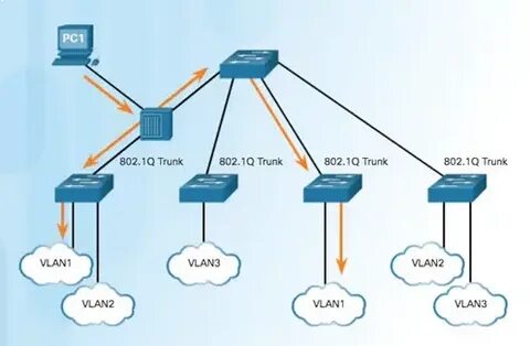 Vlan 802.1 x