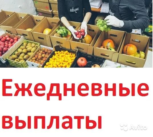 Склад ежедневные выплаты. Переборка овощей и фруктов. Переборка овощей и фруктов на складе. Продавец овощей и фруктов. Требуется продавец овощей и фруктов.