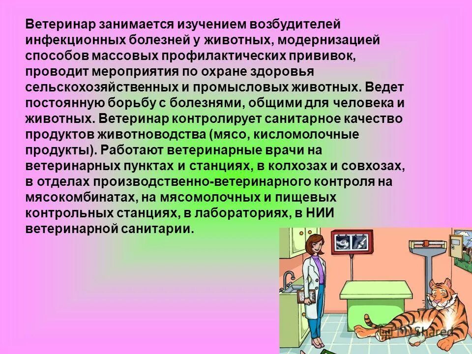 ветеринар чем полезен обществу. профессия ветеринар. ветеринар чем полезен обществу. профессия ветеринар описание. презентация на тему ветеринария.