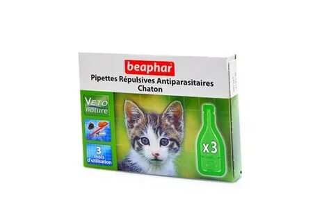Можно ли котятам капли от блох капать