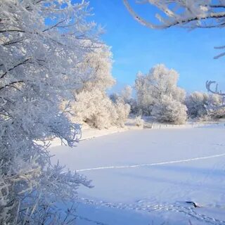 Зимушка зима снежная