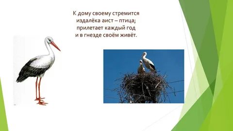 Домики построенные природой изо 1 класс презентация