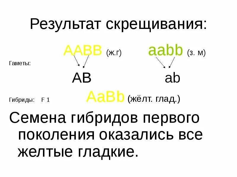 Гаметы генотипа aabb. Дигибридное скрещивание aabb aabb. aabb скрещивание. aabb гаметы. аабб и аабб.