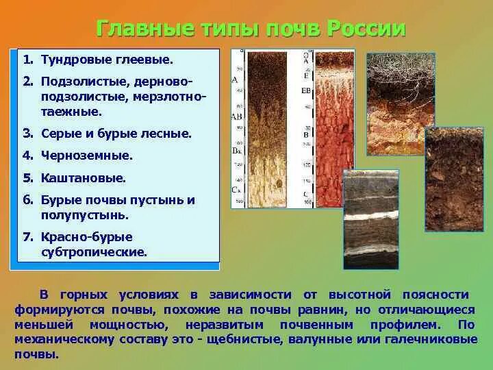 Подзолистая почва описание. Дерново-подзолистые глеевые. Дерново-подзолистые глееватые и глеевые почвы. Таблица Тип почвы дерново-подзолистая. Тип почвы дерново-подзолистая.