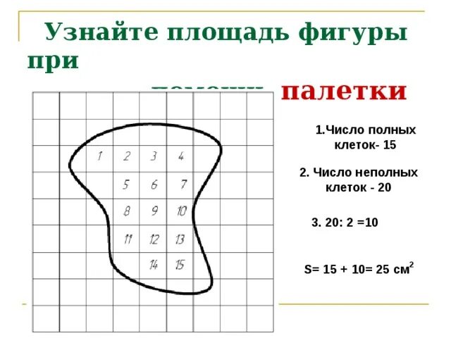 Подошва физиков. Площадь фигуры неправильной формы. Фигуры для измерения площади палеткой. Как найти площадь неправильной фигуры. Какнайдти площадь фигуры.