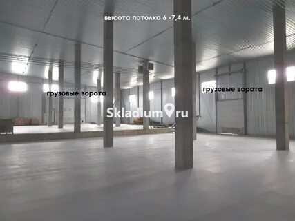 Адмирал адмиральская ул вл1с1 д грибки фото