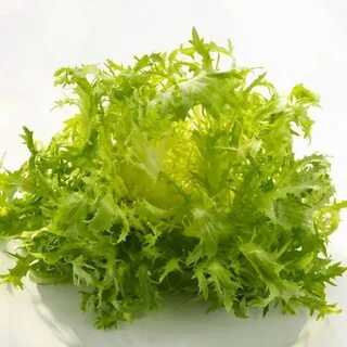 Салат фризе