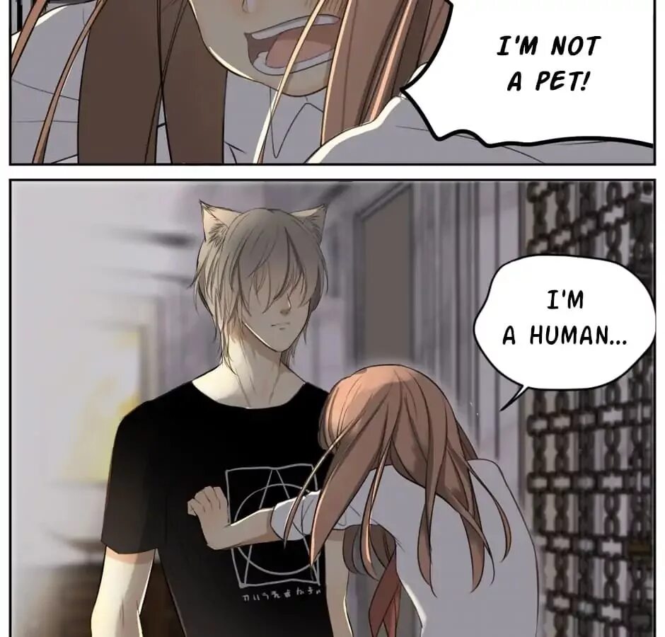 Само из мир управляемый котами. Анора мир управляемый котами. Цезарь джулиус мир управляемый котами. Аннора мир управляемый котами. Мир управ.