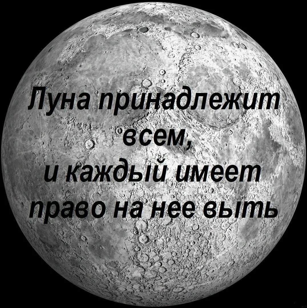 Воет днем человек. Цитаты про луну. Шутки про луну. Луна прикол. Луна надпись.