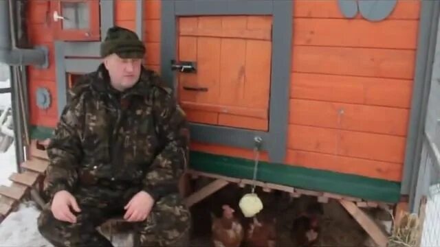 Дед чтп куры. Дед чтп курятник. Дед чтп куры. Деревенские куры. Дед курятник.