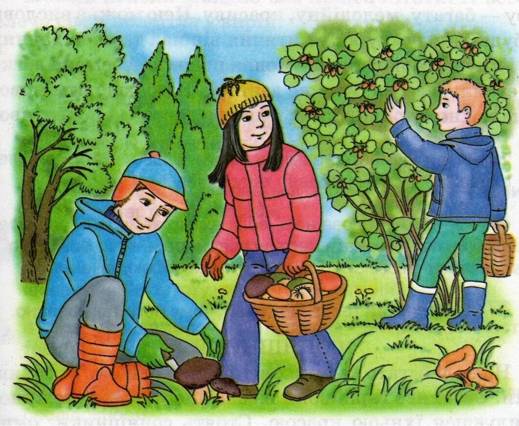 Труд людей в лесу. Дети собирают грибы в лесу. Ребята в лесу. Дети собирают грибы и ягоды в лесу. Сюжетная картина в лесу.