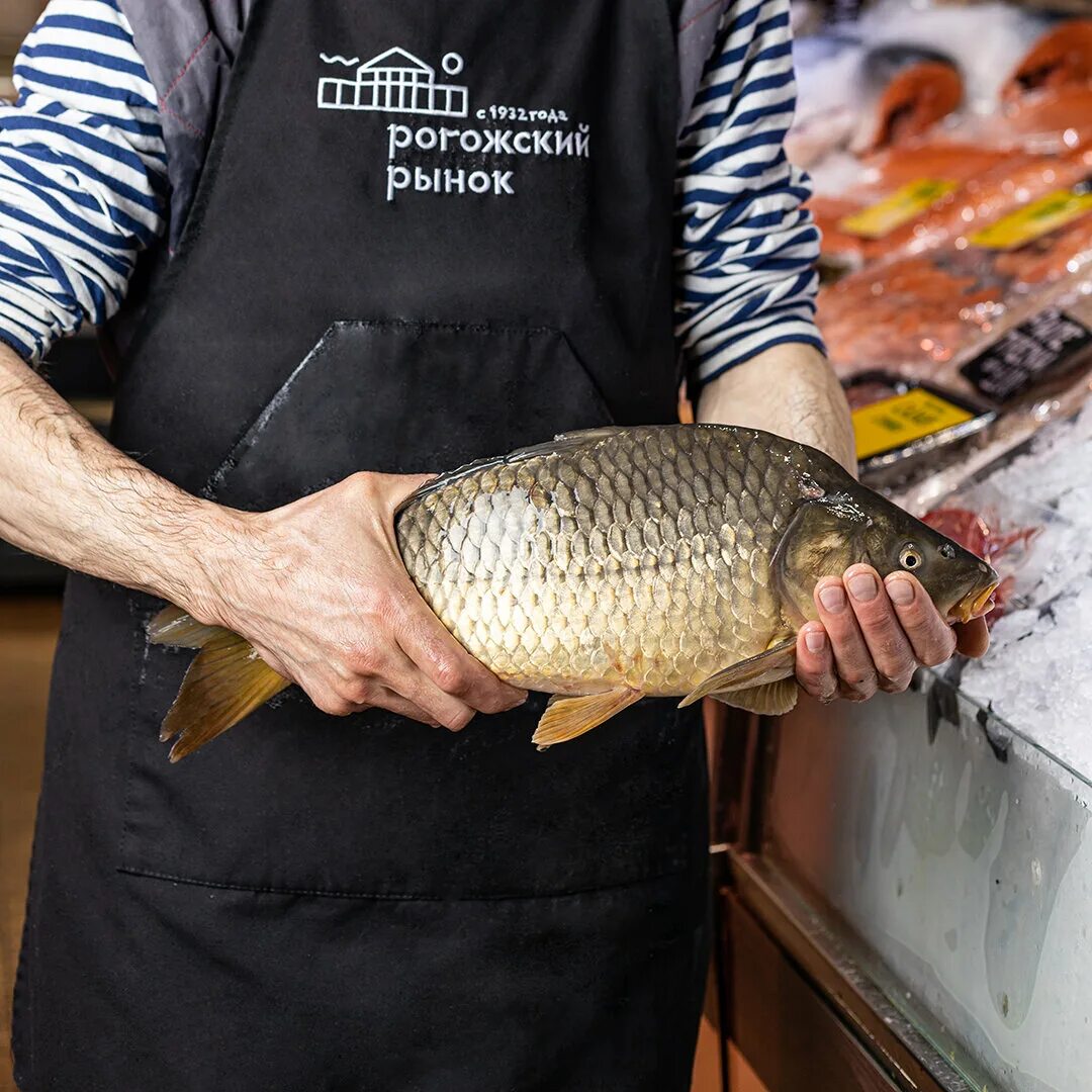 карп живой москва