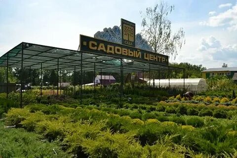 Раменский питомник растений