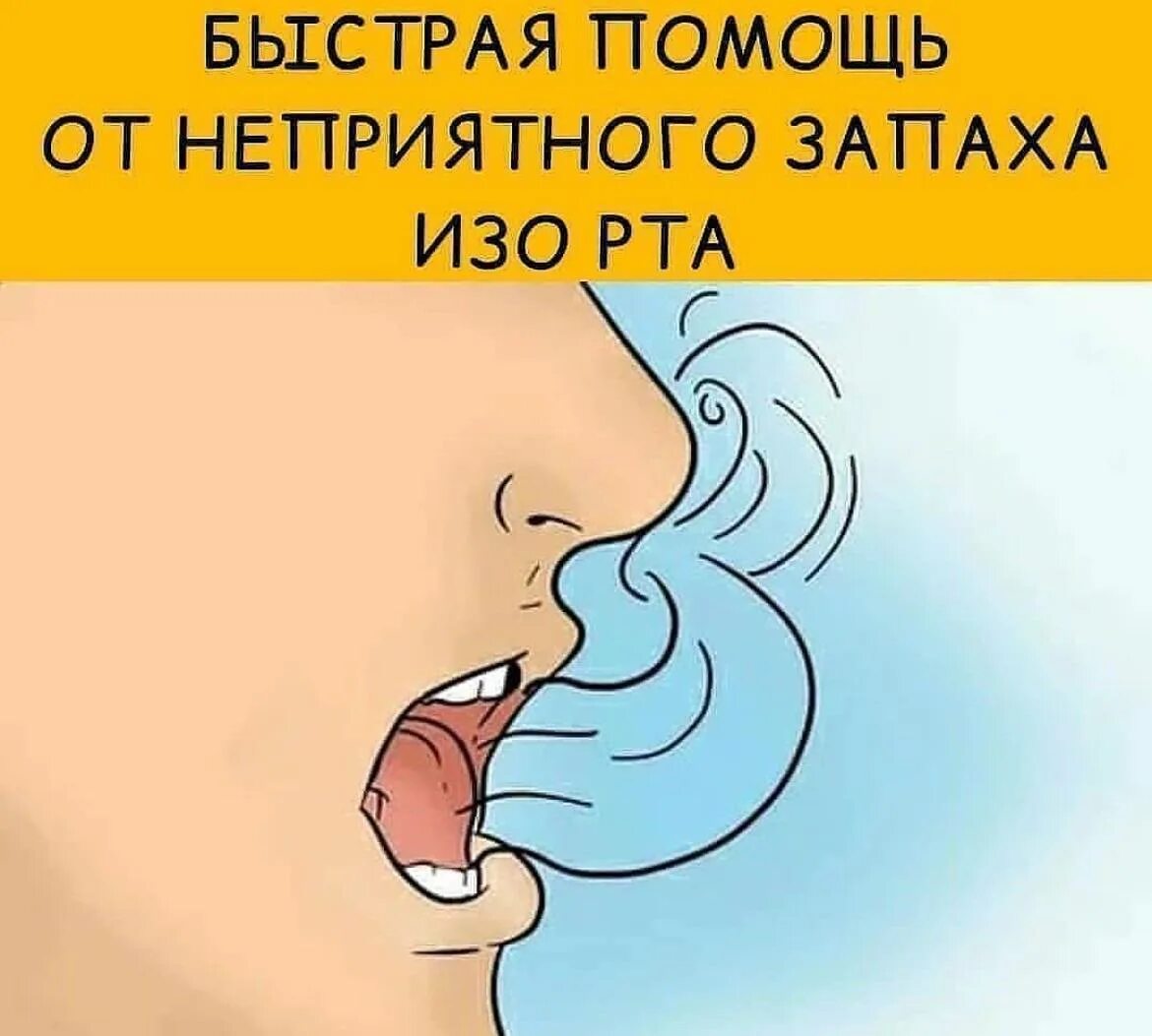 Утром воняет. Неприятный запах изо рта. Запах из зо рта. Галитоз неприятный запах изо рта.