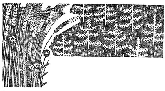 Тест как лес защищает почву 4 класс. Атмосферное загрязнение лесов. Тест как лес защищает почву 4 класс. Что значит сведение лесов. Как леса защищают почву.