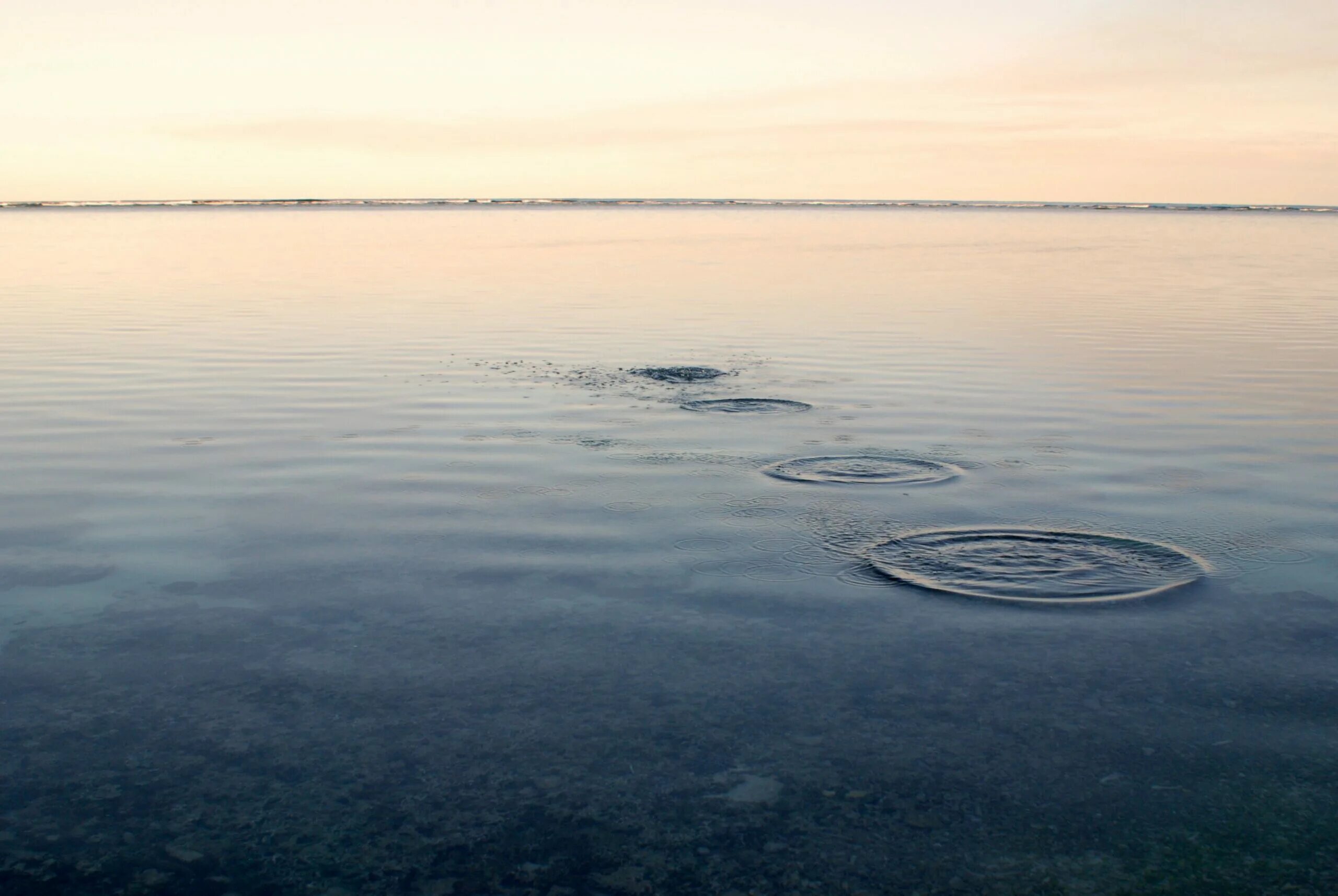 Skipping stones. Круги на воде. Блинчики по воде. Камень в воду круги. Камешек по воде.