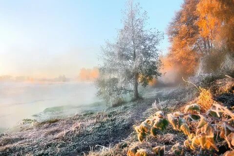 Редкий солнца луч и первые морозы