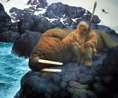 Морж на себе добывает