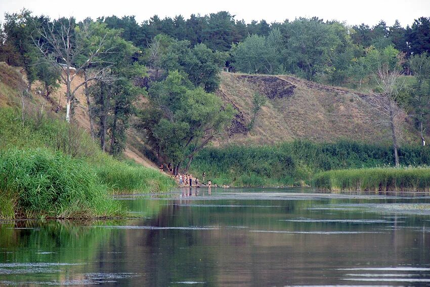 Село саратовка. Река Саратовка Энгельс. Река Медведица Саратовская область. Саратовка Алтайский край. Река Саратовка Энгельс поселок.