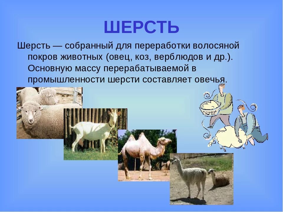 Как делают шерстяные вещи окружающий