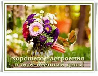 Прекрасного солнечного осеннего дня