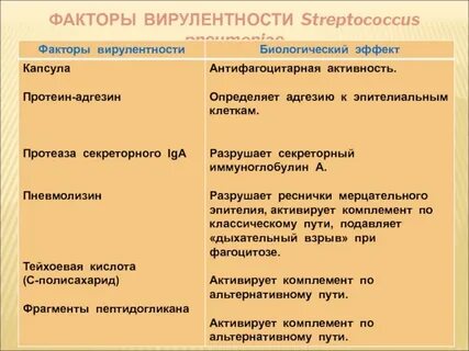 Патогенные факторы вирусов