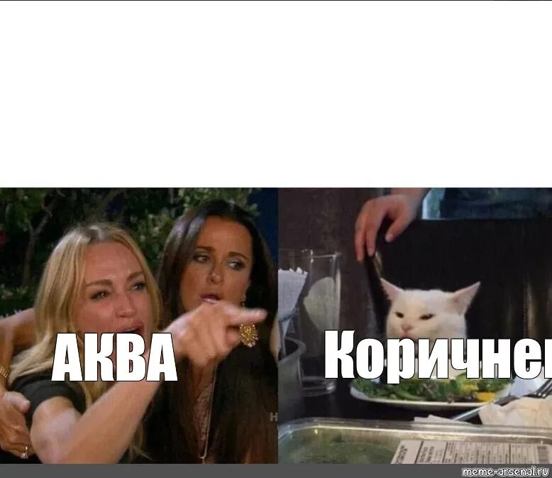 Мем про девушку и кота. Мем женщина и кот за столом. мем кот за столом и две женщины. мем с котом и двумя женщинами. кот и 2 девушки мем.