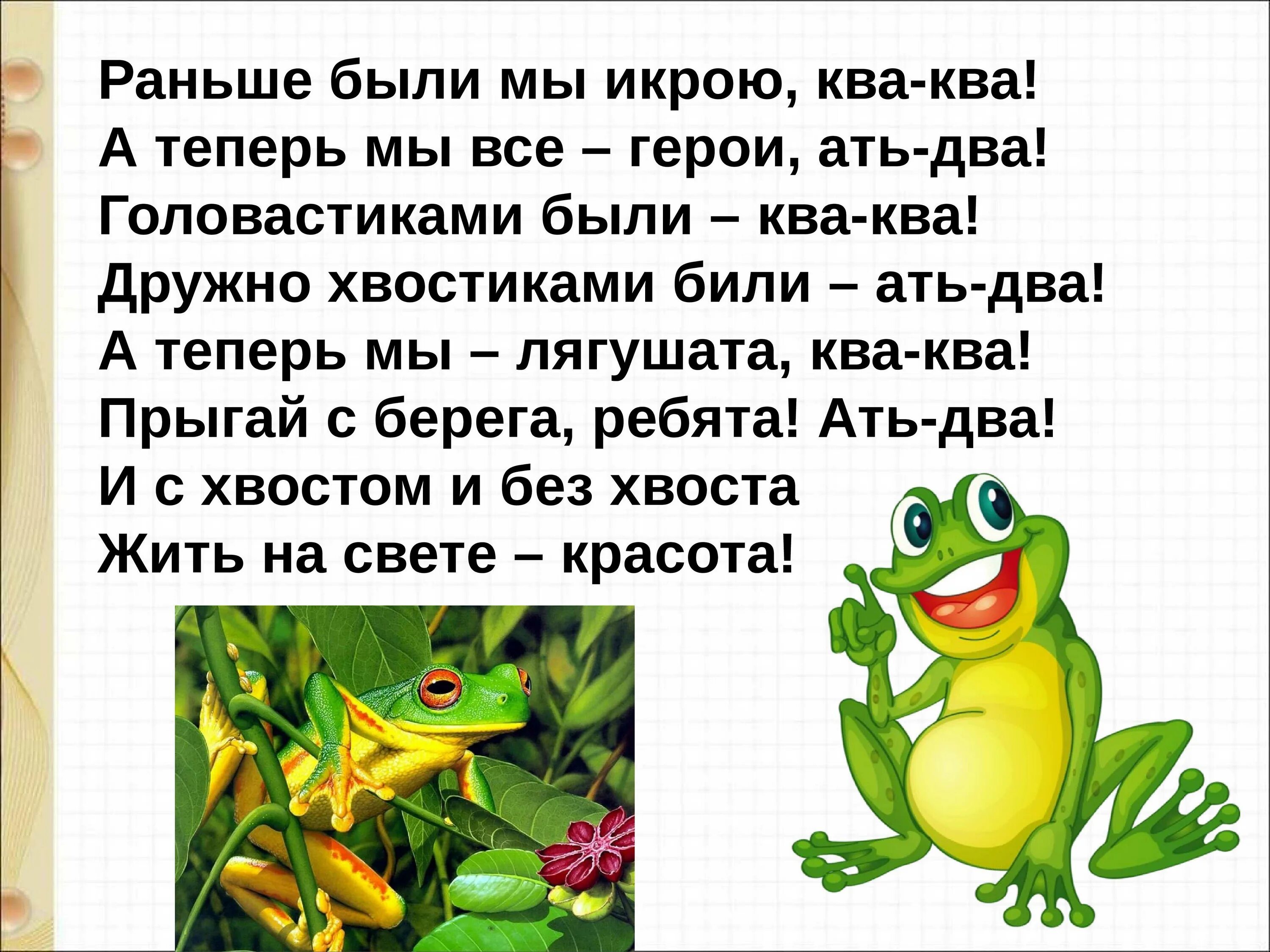 Стих лягушата Берестов. Берестов лягушата.лягушка. Стихотворение про лягушку. Стих про лягушку для детей.