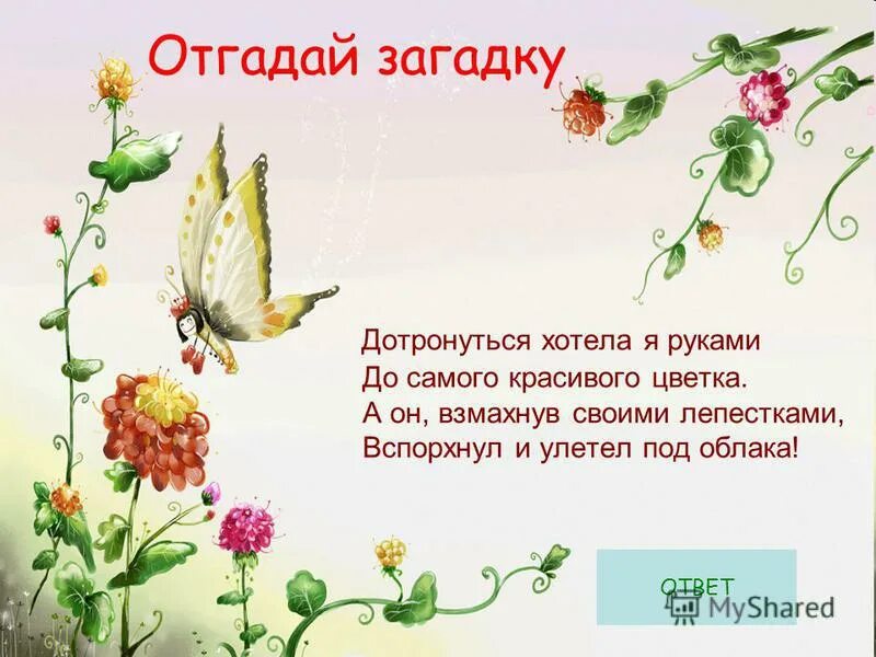 Загадка про бабочку для детей. Загадка про бабочку для детей. Загадка про бабочку для детей. Загадка с ответом бабочка. Загадка про бабочку.