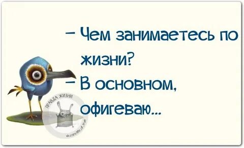 Чем занимаешься по жизни