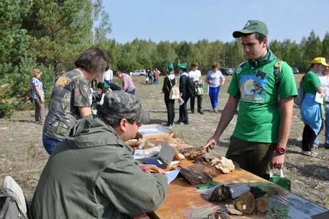Лесничество калуга