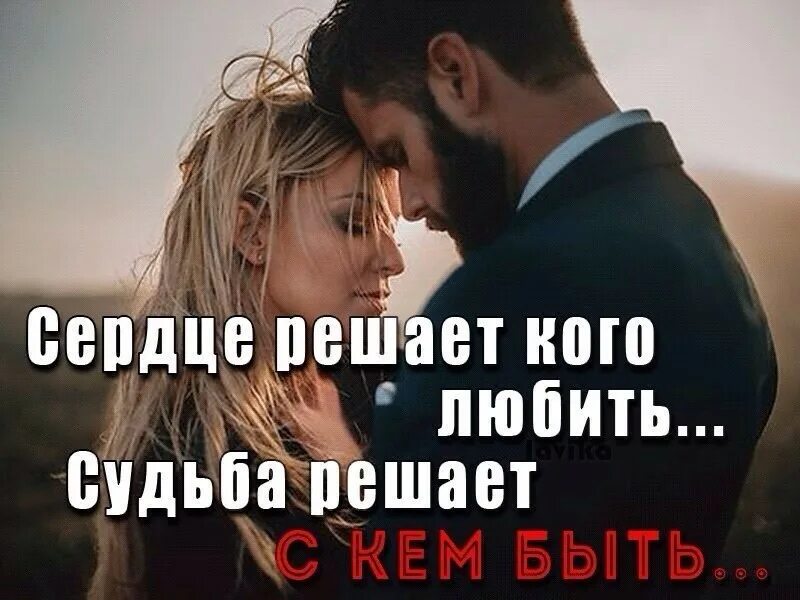 Кого выбрать любимого или любящего. Сердце решает кого любить. сердце решает кого любить а судьба с кем быть. сердце решает кого любить судьба решает с кем быть картинка. цитаты про судьбу и любовь.